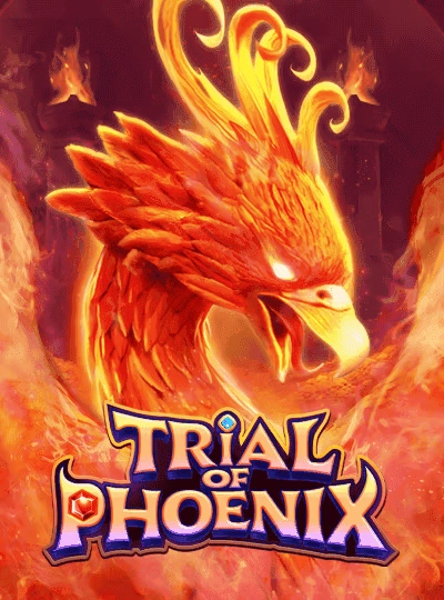 shan789apk